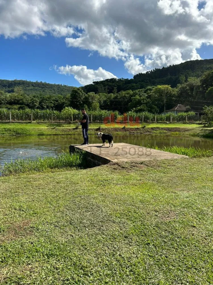 Chácara, 4 hectares - Foto 10
