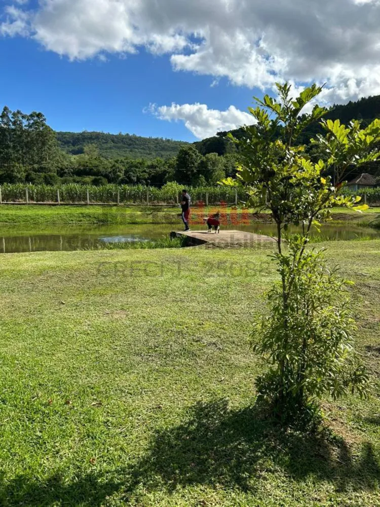 Chácara, 4 hectares - Foto 6