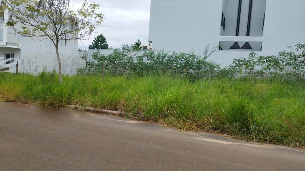 Terreno, 360 m² - Foto 4
