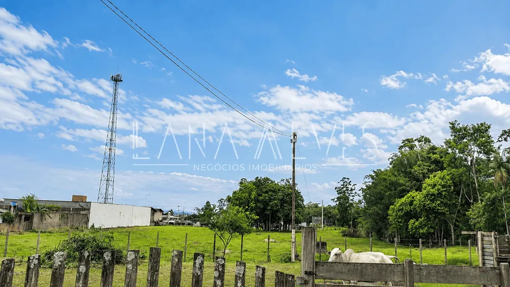Terreno, 1 hectares - Foto 2