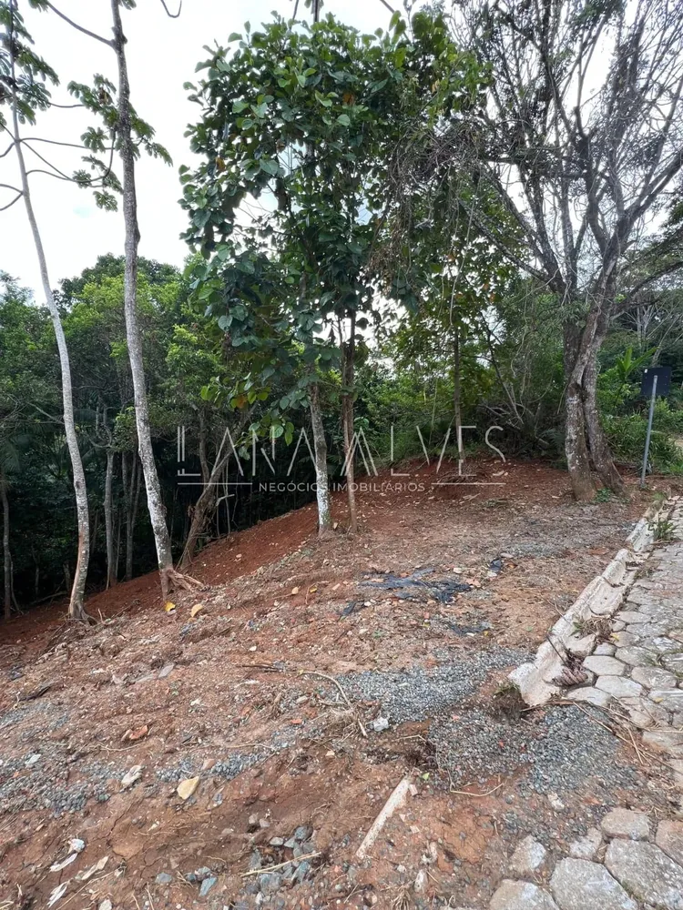 Terreno, 241 m² - Foto 2