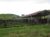 Terreno, 2541 m² - Foto 2