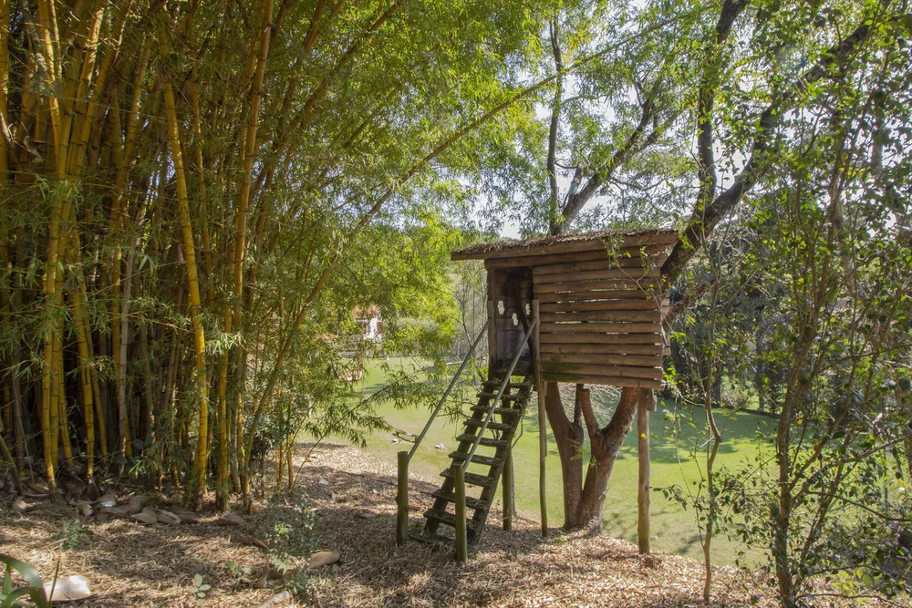 Fazenda à venda com 4 quartos, 380m² - Foto 4