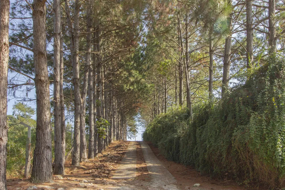 Fazenda à venda com 4 quartos, 380m² - Foto 1