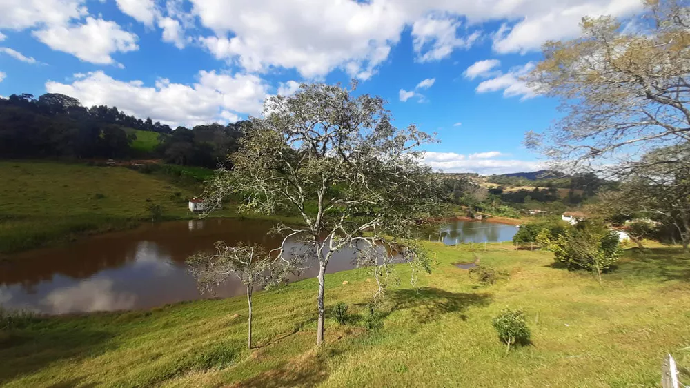 Terreno à venda com 10 quartos, 186000m² - Foto 3