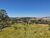 Terreno, 2 hectares - Foto 2