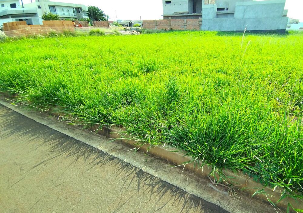 Terreno à venda, 300m² - Foto 2