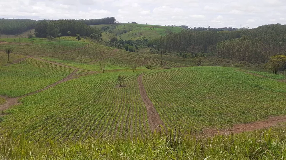 Fazenda à venda com 6 quartos, 1950m² - Foto 1