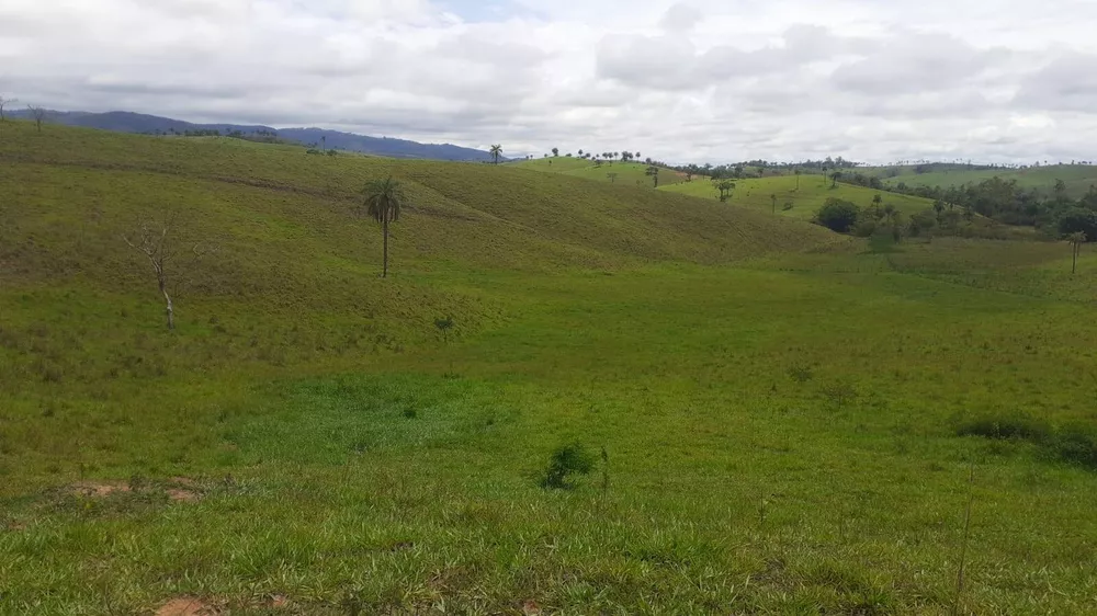 Fazenda à venda com 6 quartos, 1950m² - Foto 3