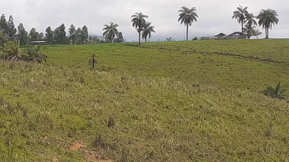 Fazenda à venda com 6 quartos, 1950m² - Foto 2