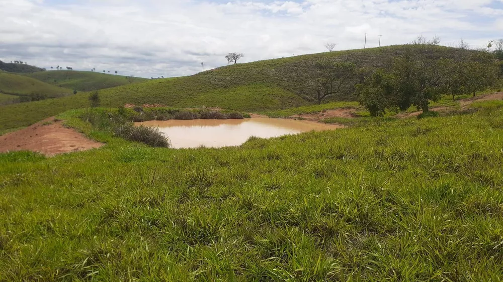 Fazenda à venda com 6 quartos, 1950m² - Foto 4