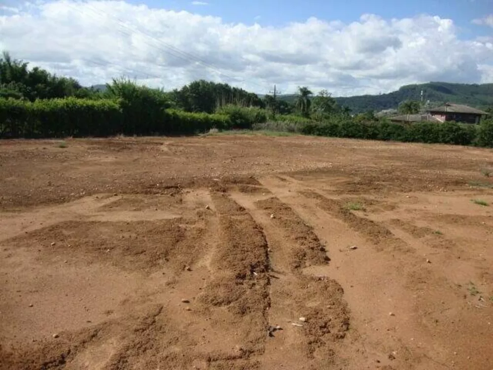 Terreno à venda, 4000m² - Foto 2