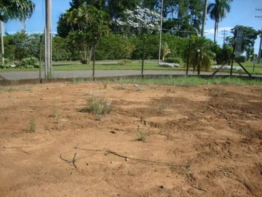 Terreno à venda, 4000m² - Foto 3