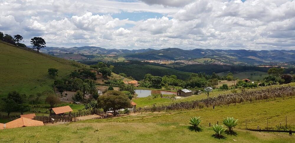 Sítio à venda com 3 quartos, 24000m² - Foto 10