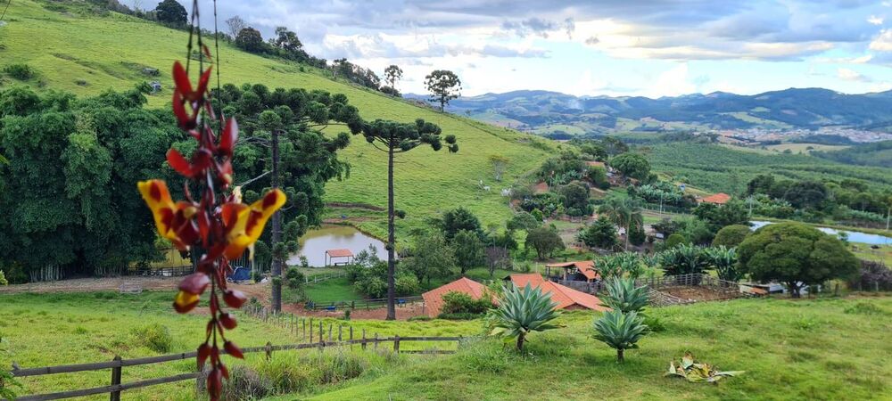 Sítio à venda com 3 quartos, 24000m² - Foto 5