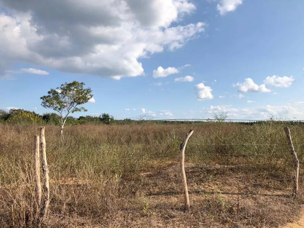 Terreno à venda, 1000m² - Foto 4