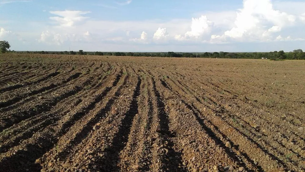 Fazenda à venda com 8 quartos, 831m² - Foto 1