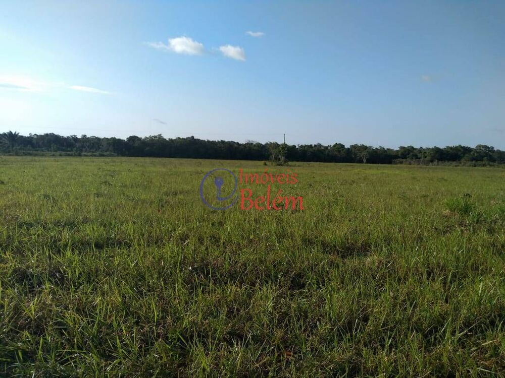 Casa, 3 quartos, 170 m² - Foto 2