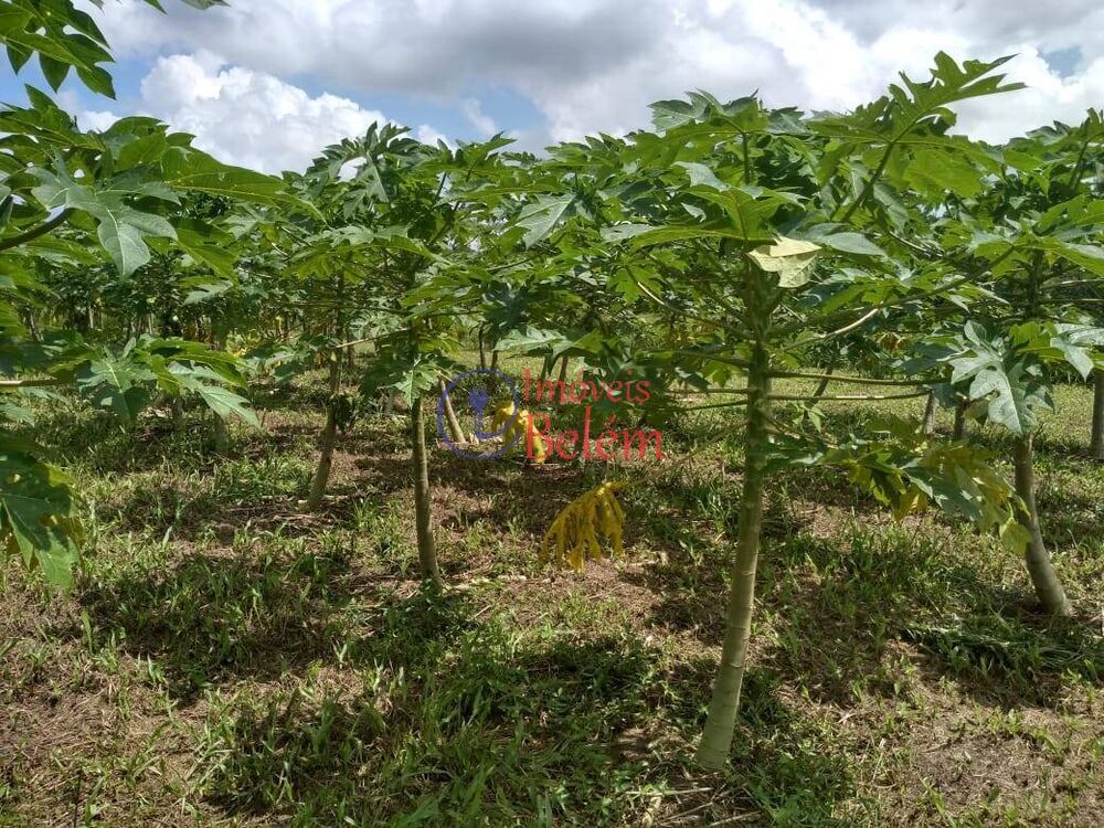 Casa, 3 quartos, 170 m² - Foto 3