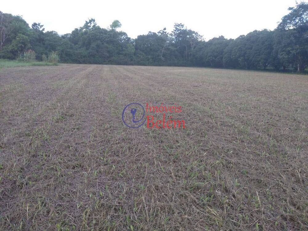 Casa, 3 quartos, 170 m² - Foto 4