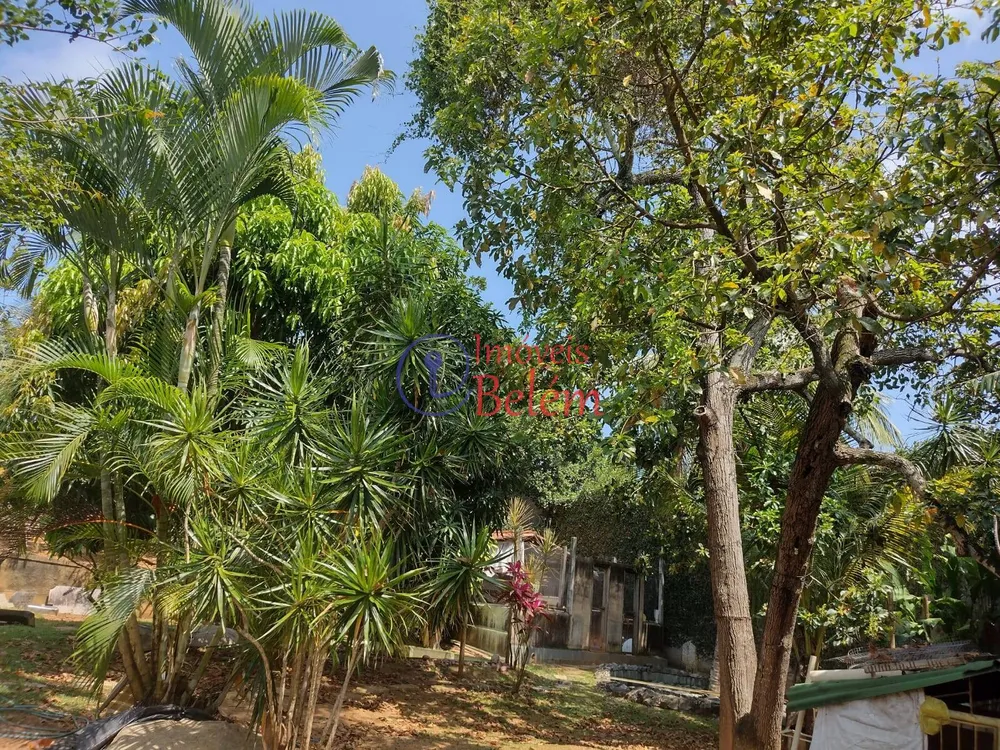 Casa, 3 quartos, 480 m² - Foto 14