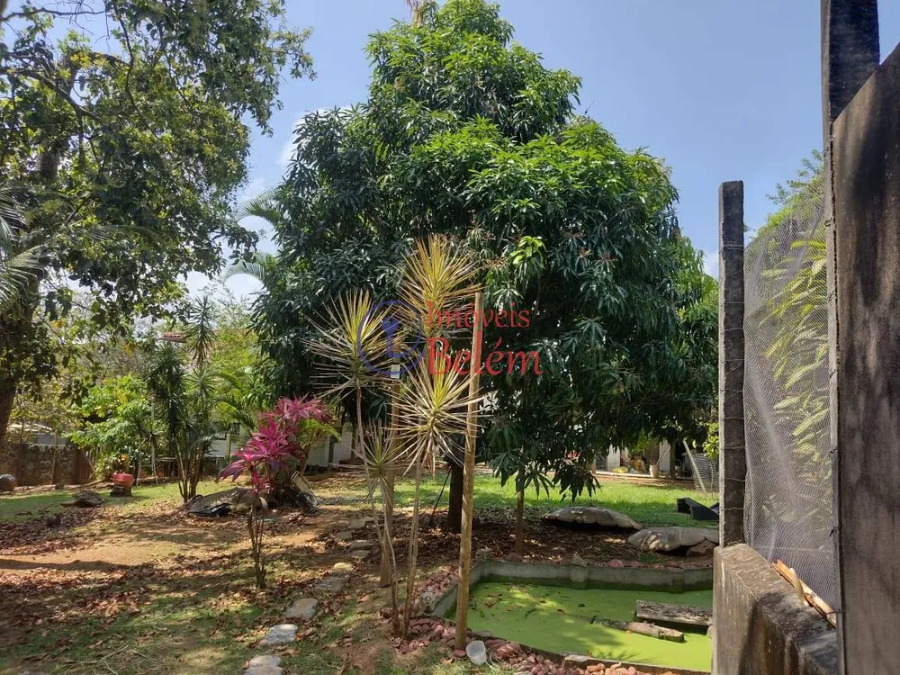 Casa, 3 quartos, 480 m² - Foto 11