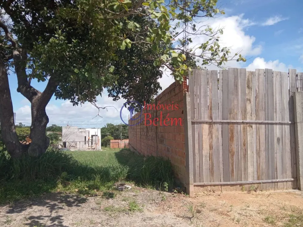 Casa, 3 quartos, 260 m² - Foto 12