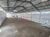 Depósito-Galpão, 1050 m² - Foto 2
