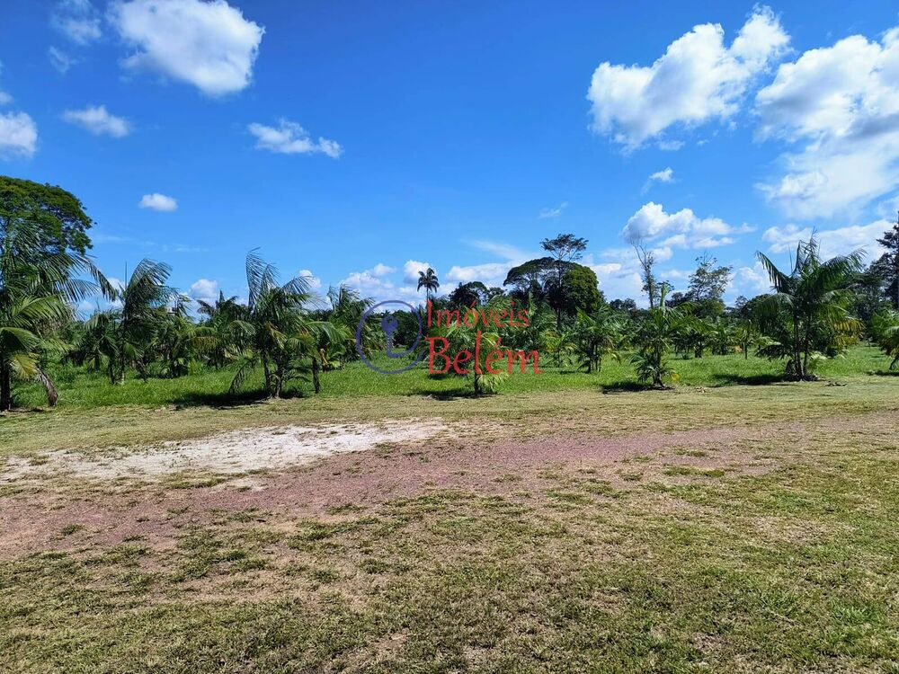 Sítio à venda com 2 quartos, 200000m² - Foto 8