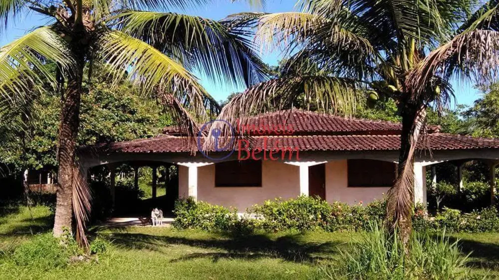 Casa, 4 quartos - Foto 8