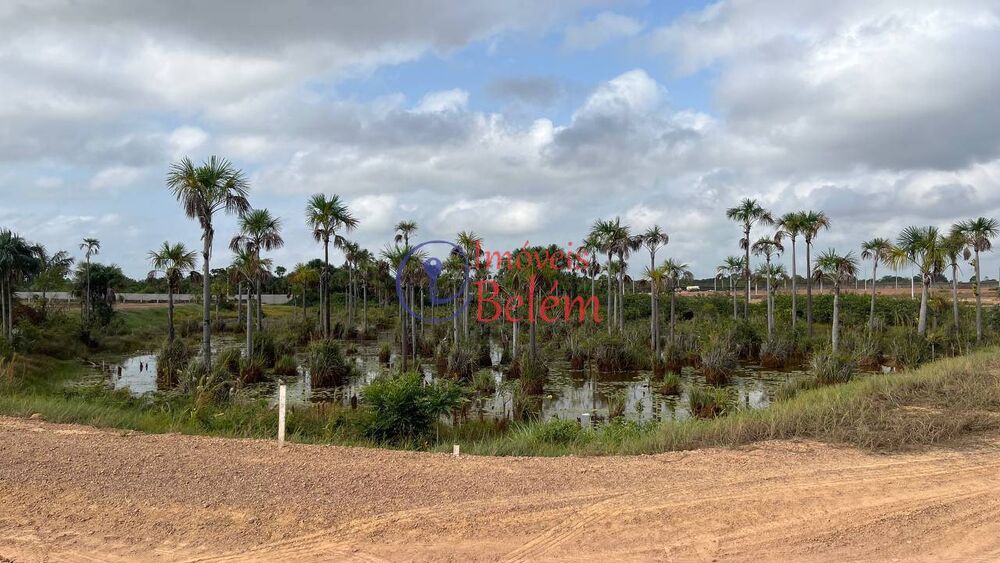 Terreno à venda, 200m² - Foto 8