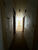 Casa, 4 quartos, 417 m² - Foto 4