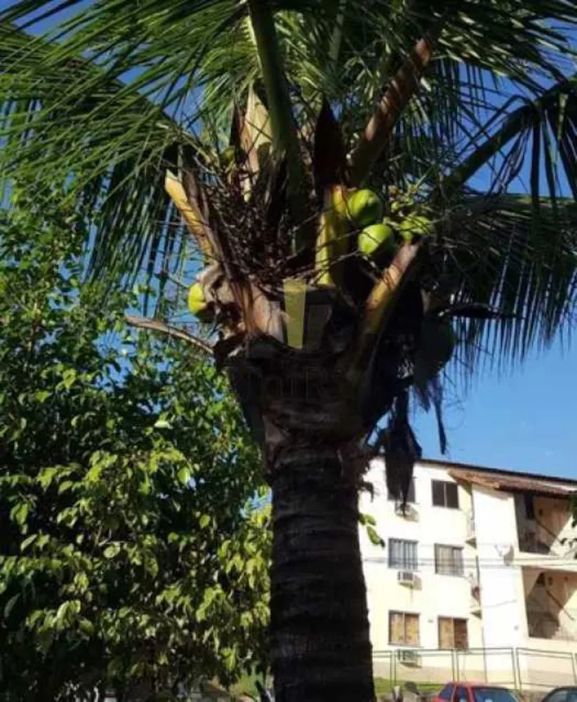 Casa de Condomínio, 2 quartos - Foto 12