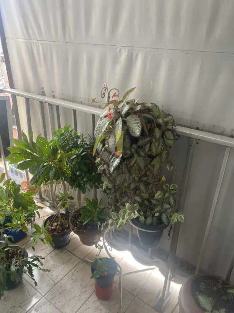 Apartamento, 2 quartos, 52 m² - Foto 3