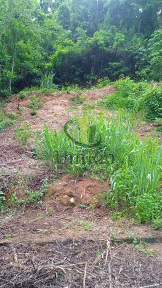 Terreno, 240 m² - Foto 14