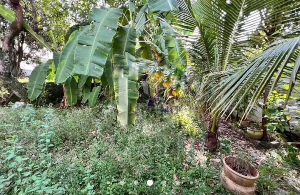 Casa, 4 quartos, 700 m² - Foto 2