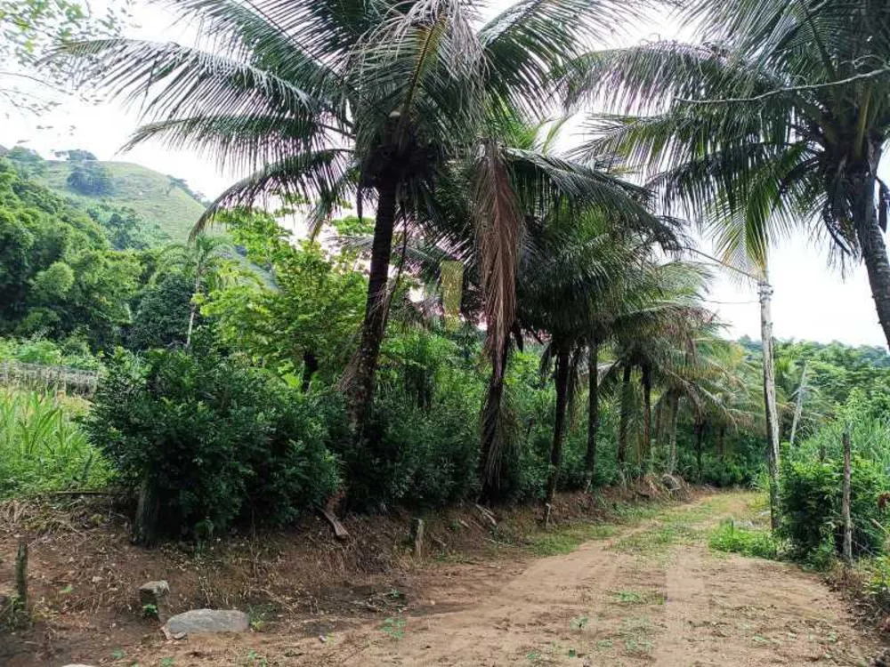 Casa, 2 quartos, 1000 m² - Foto 3