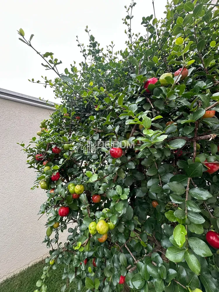 Casa, 5 quartos, 400 m² - Foto 2