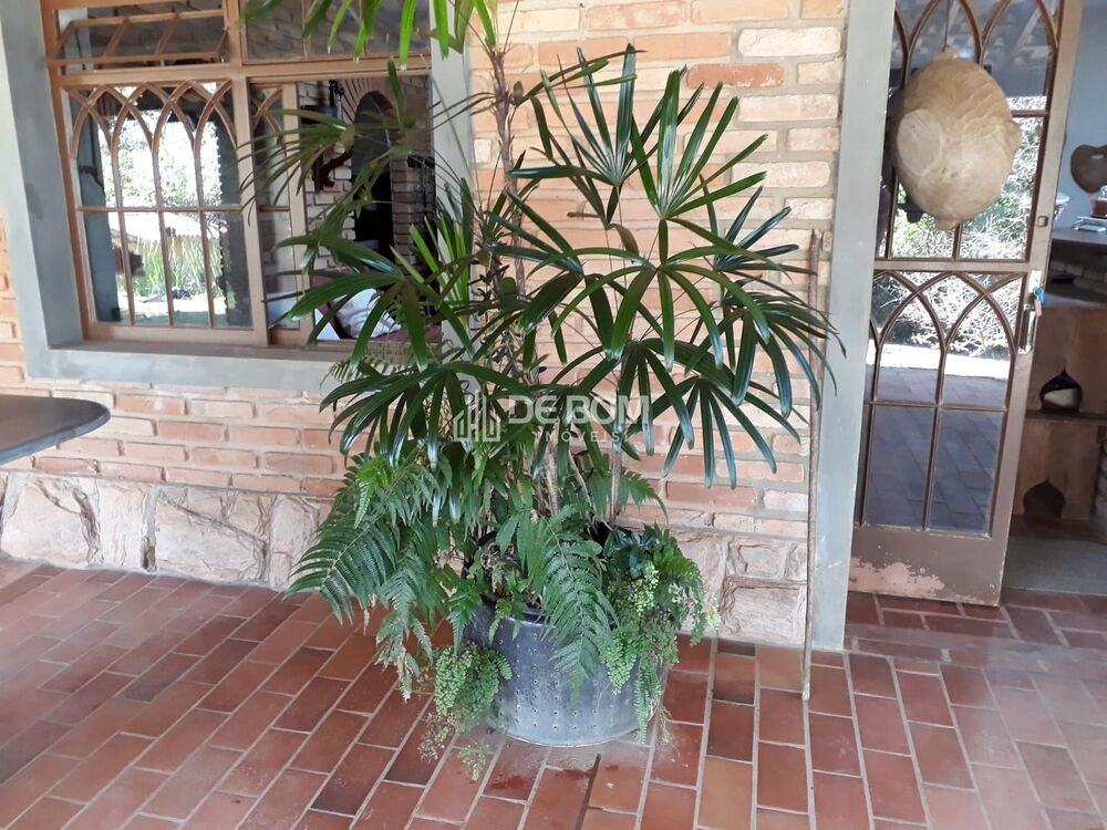 Chácara à venda com 1 quarto, 3000m² - Foto 4