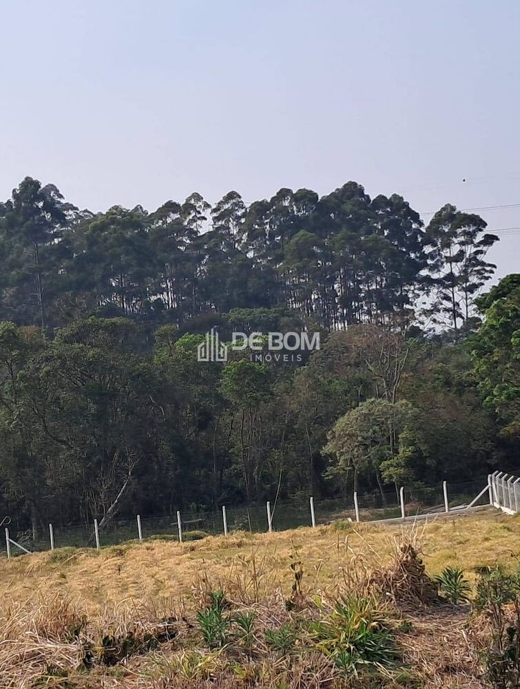 Terreno, 2400 m² - Foto 5