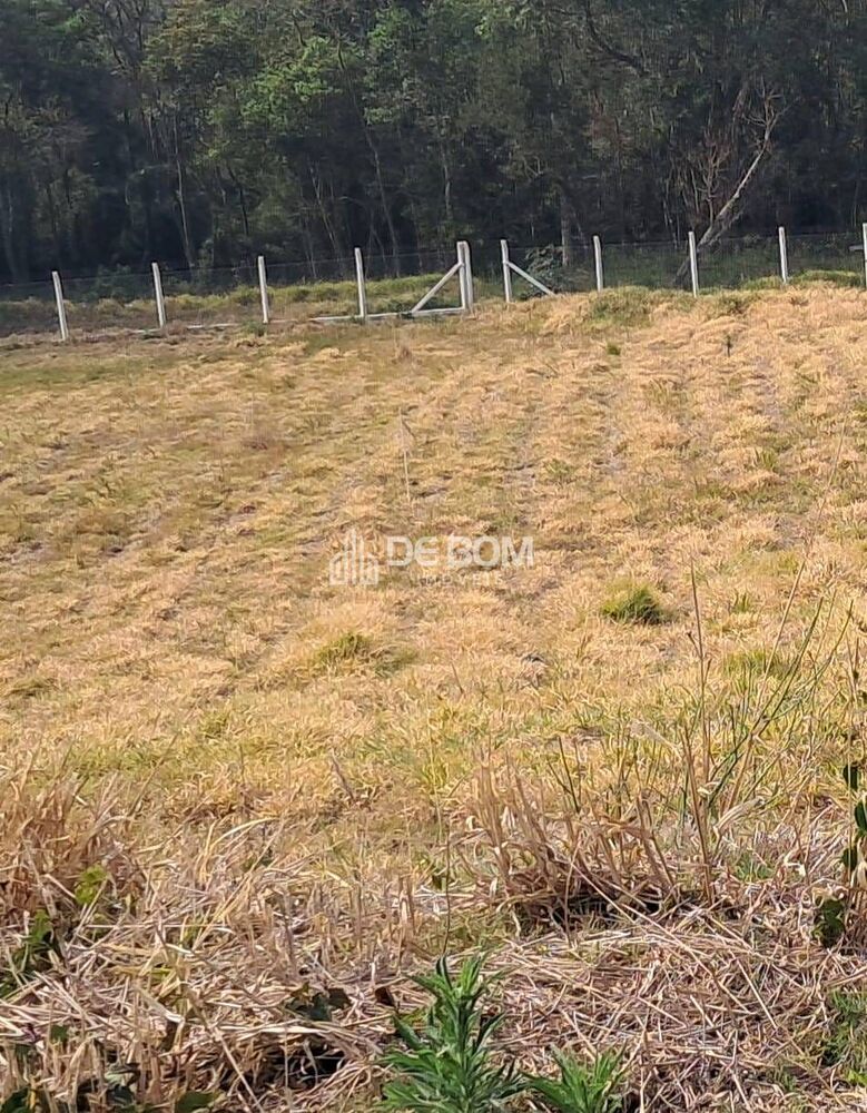 Terreno, 2400 m² - Foto 3