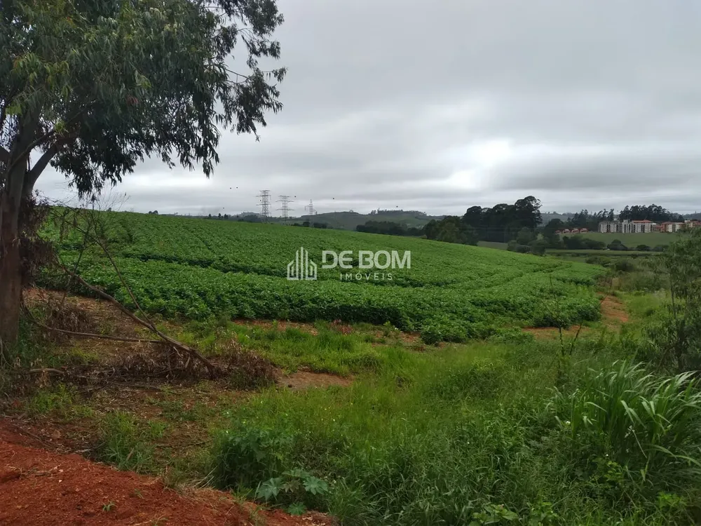 Terreno, 2 hectares - Foto 4