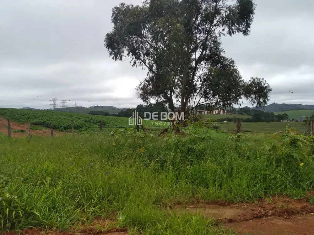 Terreno, 2 hectares - Foto 2