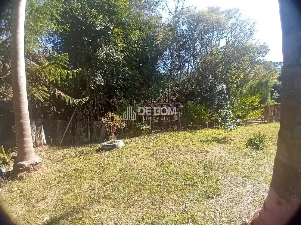 Chácara, 2 quartos, 5628 m² - Foto 7