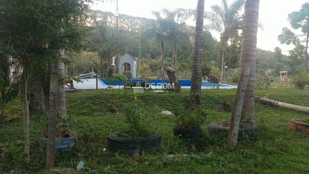 Chácara, 2 quartos, 5628 m² - Foto 6