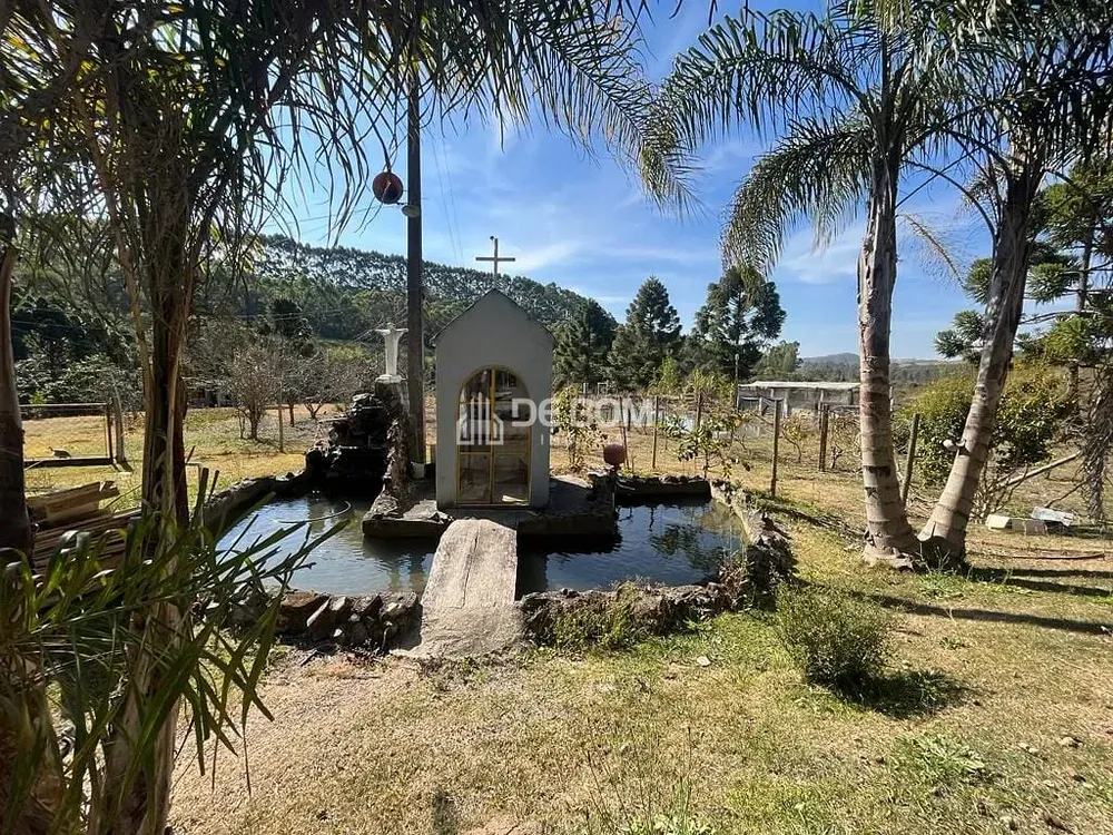 Chácara, 2 quartos, 5628 m² - Foto 2