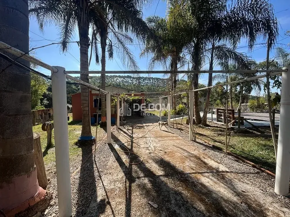 Chácara, 2 quartos, 5628 m² - Foto 3