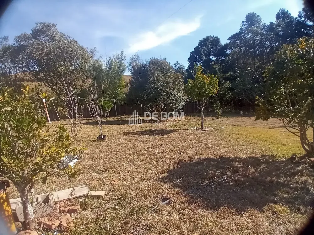Chácara, 2 quartos, 5628 m² - Foto 9