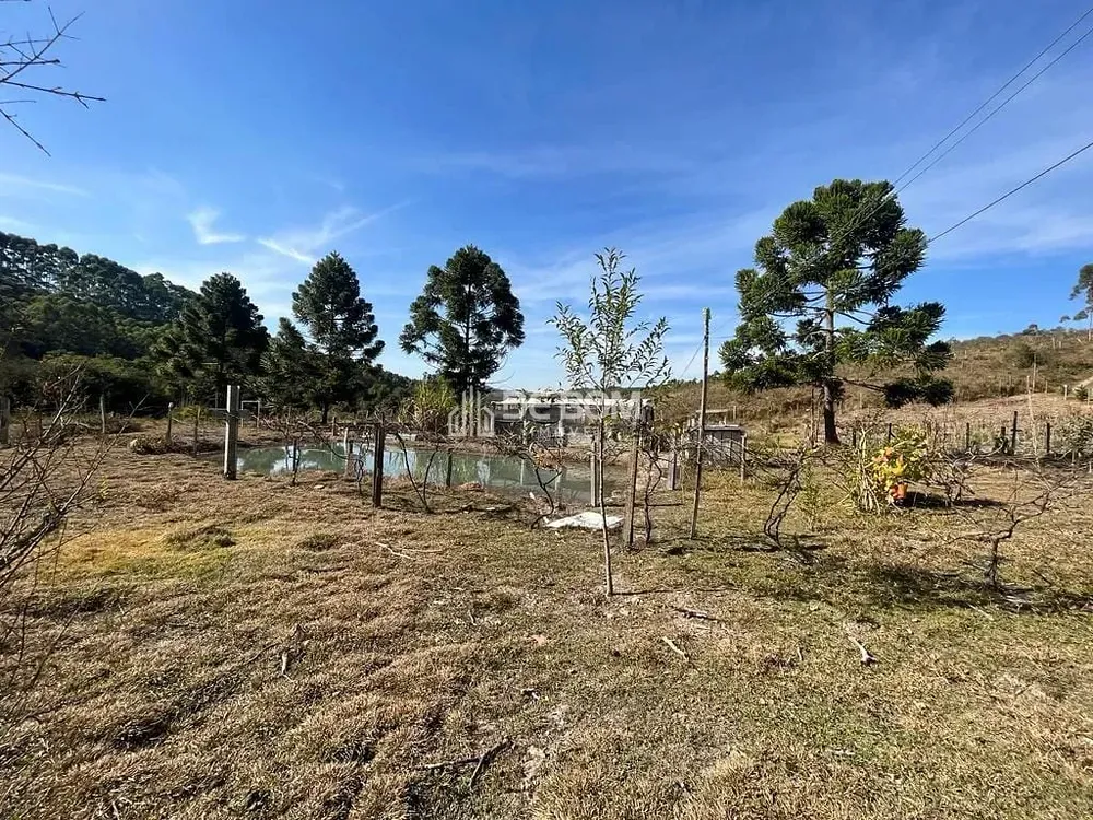 Chácara, 2 quartos, 5628 m² - Foto 11