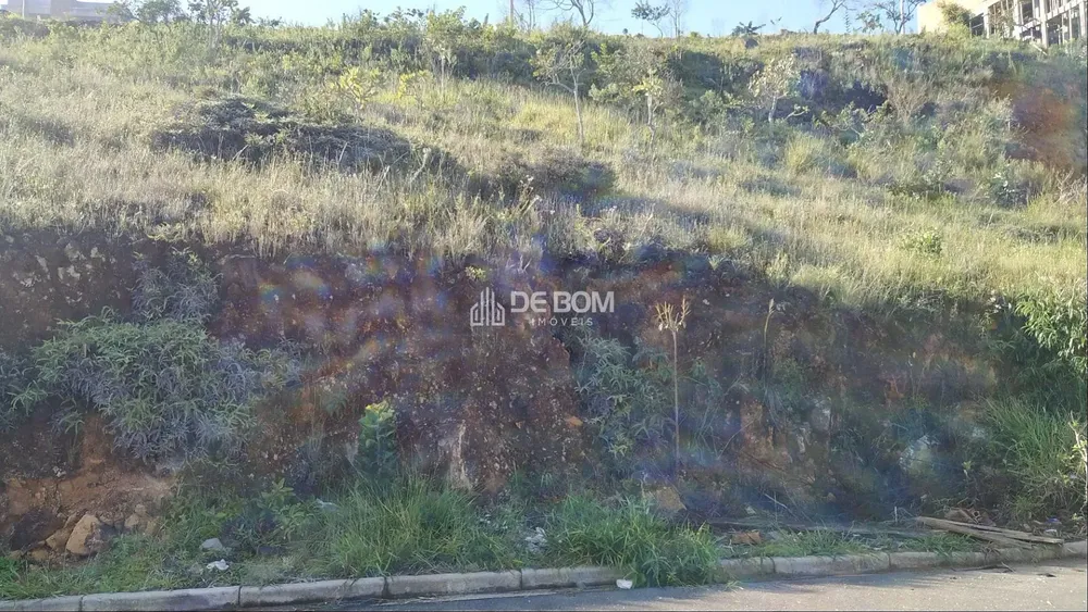 Terreno, 250 m² - Foto 2